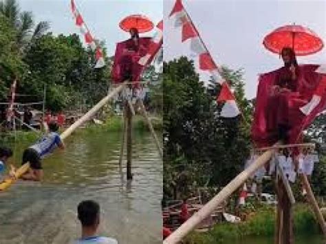 Viral Kocak Lomba Agustusan Panjat Pinang Berhadiah Janda Muda