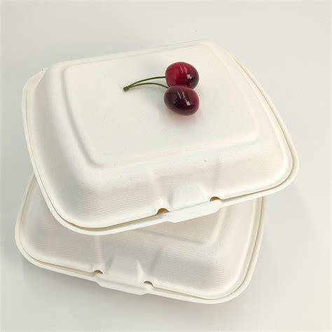 100 Compostable Sugarcane Pulp Natural Bagasse Lunch Clamshell Box