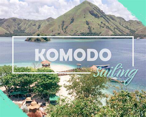 Komodo Labuan Bajo Tour Flores Komodo Packages Bali Komodo Dragon