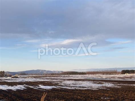 夕方の北海道の雪解け No 4704124｜写真素材なら「写真ac」無料（フリー）ダウンロードok