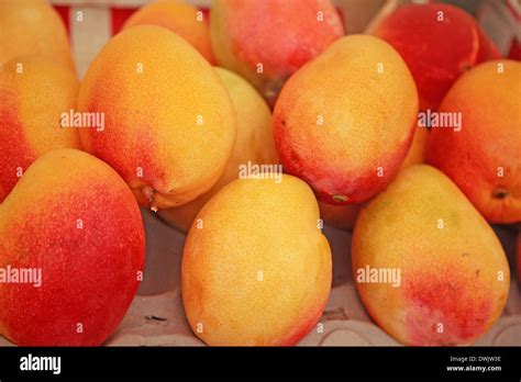 Mango Brazil Rio De Janeiro Ipanema Stock Photo Alamy