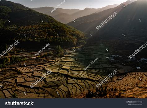 1,281 Bhutan Rice Images, Stock Photos & Vectors | Shutterstock