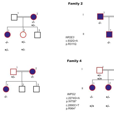 Segregation Of The Pathogenic Variants In Four Genes Identified In