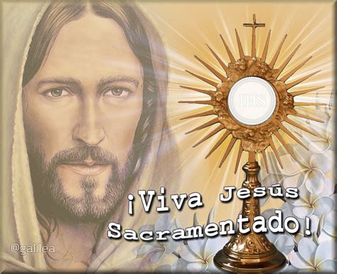 Jes S El Tesoro Escondido Oraci N A Jes S Sacramentado