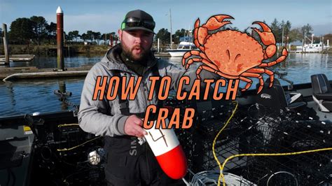 How To Catch Crab Setup And Baiting 🦀 Youtube