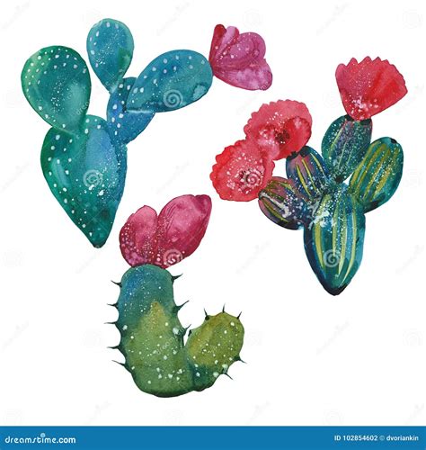 Sistema Del Cactus De La Acuarela Stock De Ilustraci N Ilustraci N De