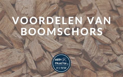 De 10 Voordelen Van Het Gebruik Van Boomschors In Je Tuin