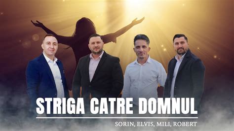 Fratii Din Barbulesti Striga Catre Domnul Elvis Sorin Mili Si