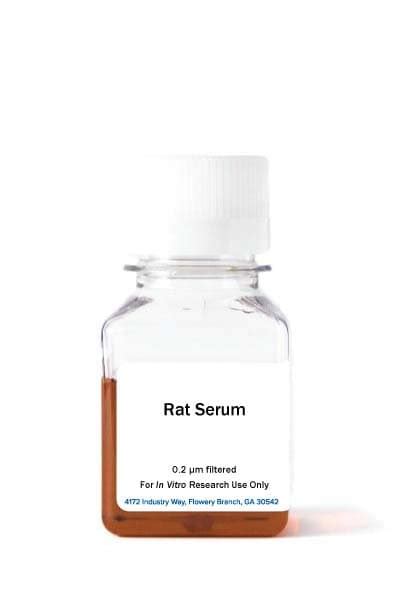 Rat Serum S17110 Randd Systems