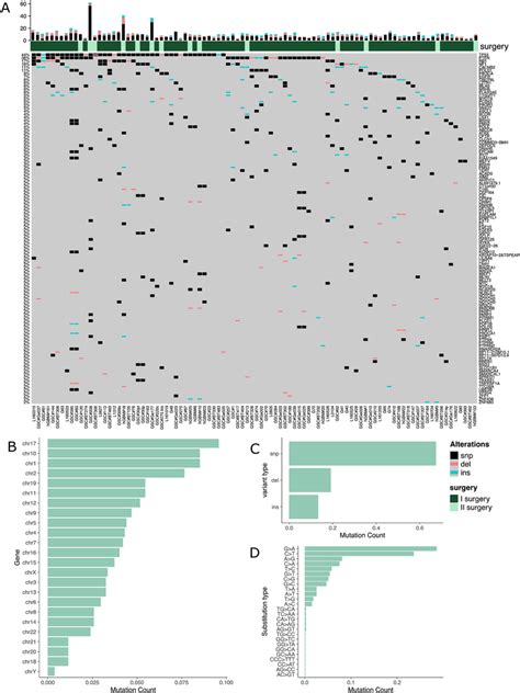 A Oncoprint Of The Genes Mutated In At Least Samples For Each Gene