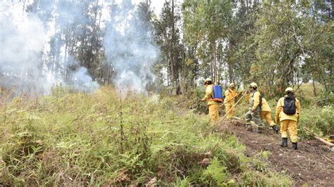 Amazonas Conforman Brigadas Para Prevenir Y Controlar Incendios Forestales En ámbito De áreas