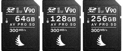 Best Sony A R V Memory Cards With Speed Buffer Tests Alpha Shooters