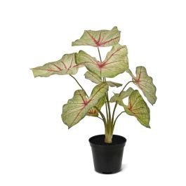 Caladium White Queen Kunstplant Cm Maxifleur Kunstplanten