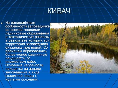 Заповедник "Кивач" - презентация онлайн