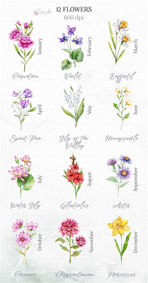 Birth Month Flowers Watercolor Collection Design Cuts