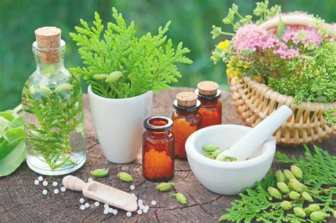 Homeopathy Welcome To Dr Shefalis Holistic Wellness Clinic