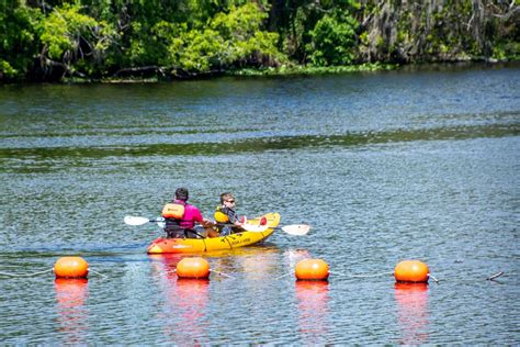 Blue Spring State Park Year Round Outdoor Fun Travel Addicts