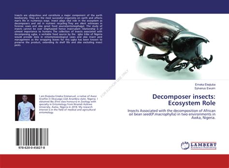 Pdf Decomposer Insects Ecosystem Role