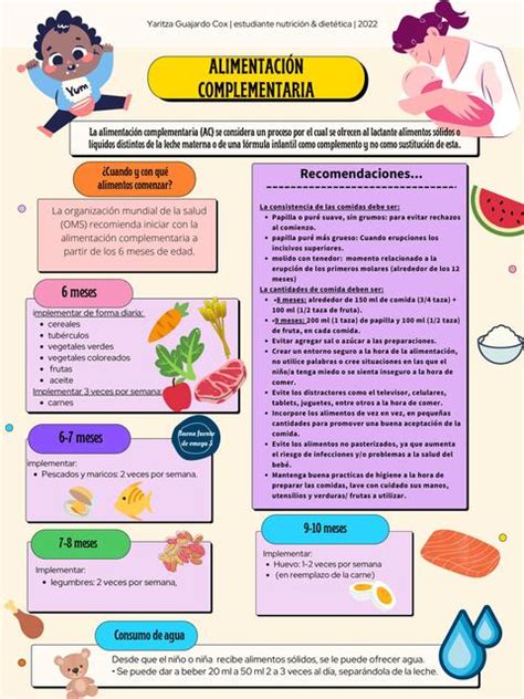 Alimentaci N Complementaria Yaritza Guajardo Cox Udocz