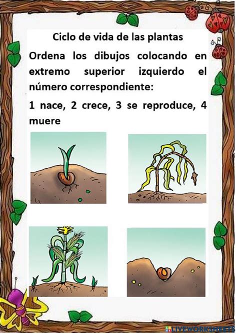 a poster with pictures of plants in spanish