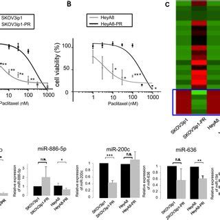 Mir P Expression Is Downregulated In Paclitaxel Resistant Ovarian