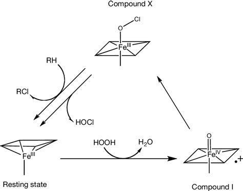 Schematic representation of the mechanism of halogenation of ...