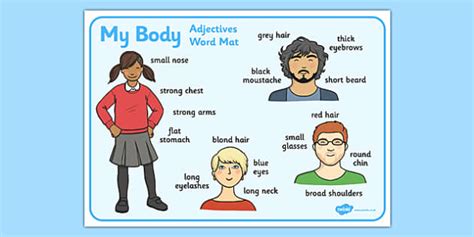 My Body Adjectives Word Mat Professor Feito Twinkl