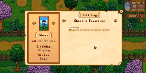 Stardew Valley How To Romance And Marry Shane