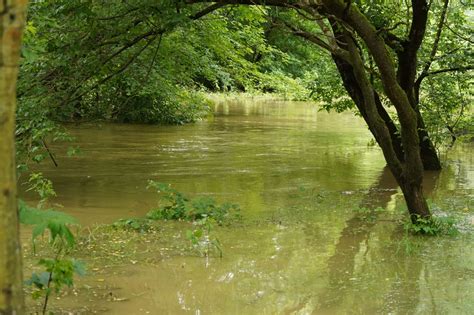 FOTO In VIDEO Reka Mura Prestopila Bregove Obeta Se Zapora Ceste