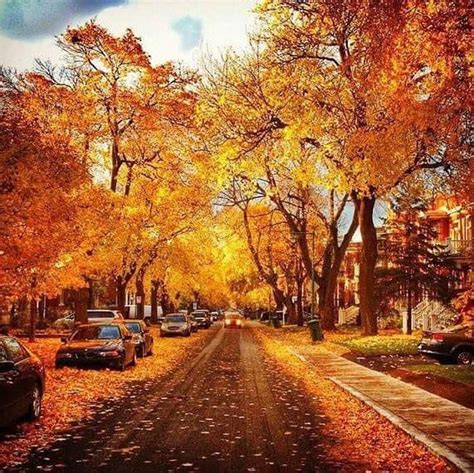 The 20 Best Fall Foliage Trips In The U S Artofit