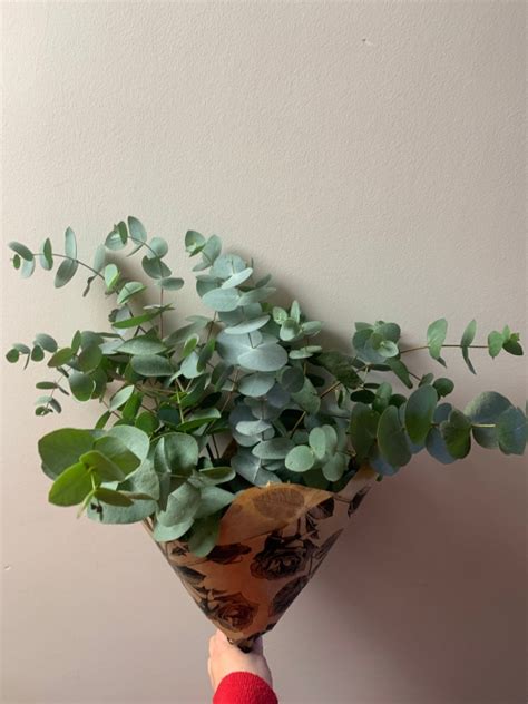 Eucalyptus Bouquet Buy Online Or Call