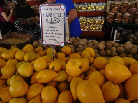 Visit Robert is Here Fruit Stand in Homestead, Florida | Julie Journeys