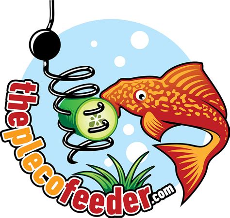 No Affiliate Links Get Aquarium And Fish Keeping Tips Tagged