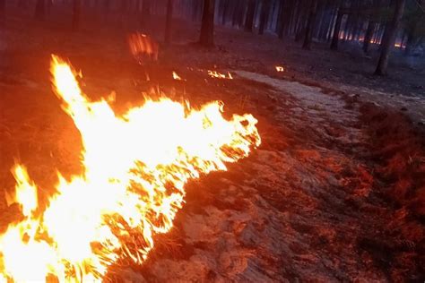 Tras 48 horas continúa activo el incendio en la estancia de