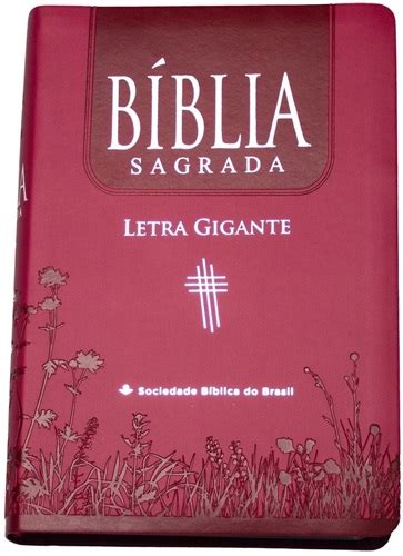 B Blia Sagrada Letra Gigante Ntlh Ndice Pink Sbb B Blias