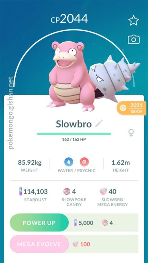 Slowbro Pokemon Go