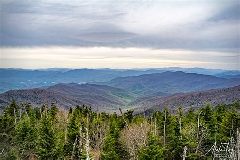 Smokey Mountains Vista Atala Toy Nature Beings Photography
