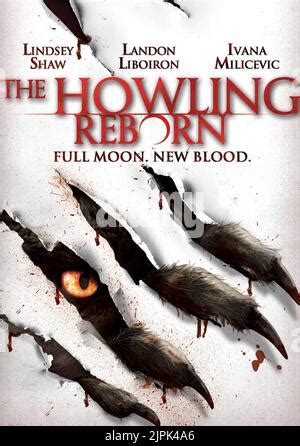 MOVIE POSTER, THE HOWLING: REBORN, 2011 Stock Photo - Alamy