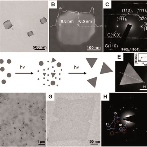 A Bright Field Tem Image Of Hcp Fcc Mixed Au Square Plates B Afm