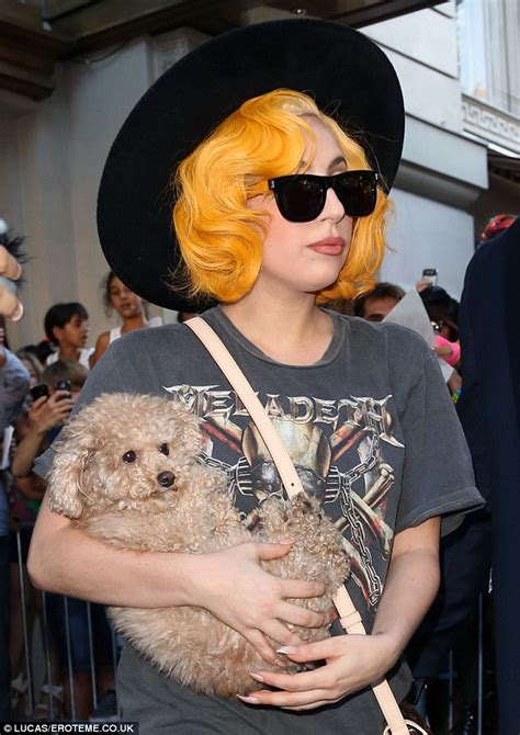 Lady Gaga names pet dog Fozzi | Muppet Central Forum