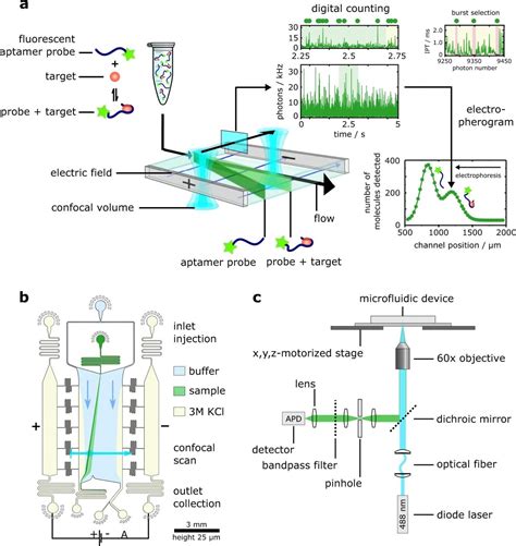 Revolutionizing Biomarker Detection The Power Of Microfluidic Sensing