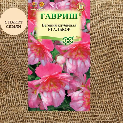 Бегонии, Бегонии комнатные Гавриш Бегония Алькор F1 клубневая, амп. 4 ...