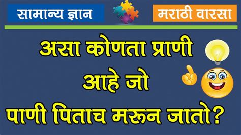 General Knowledge Questions And Answers In Marathi Gk Questions In