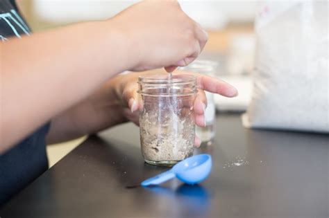 Sourdough For Science Students Discover