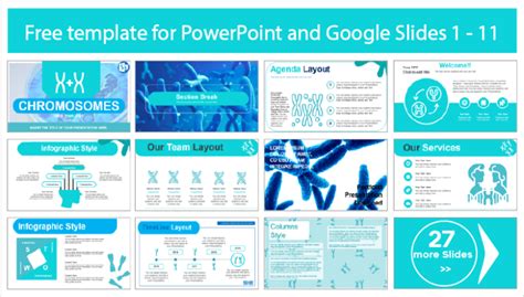 Chromosomes Template - PowerPoint Templates and Google Slides