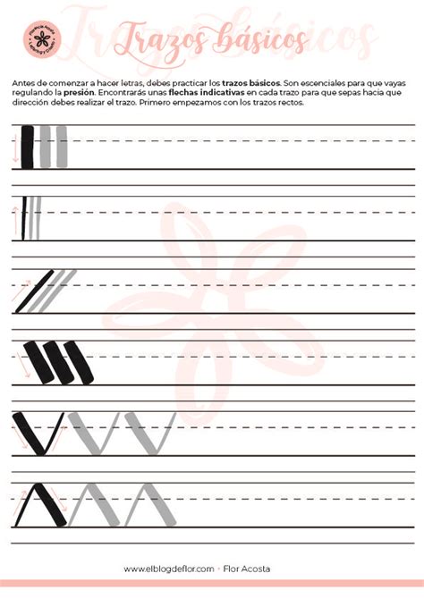 Trazos básicos de lettering Diseños de letras Tutorial de letras