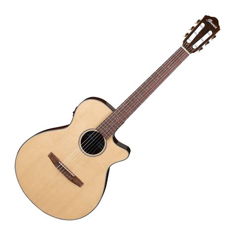 Ibanez Aeg50n Classical Nylon String Guitar W Eq Natural