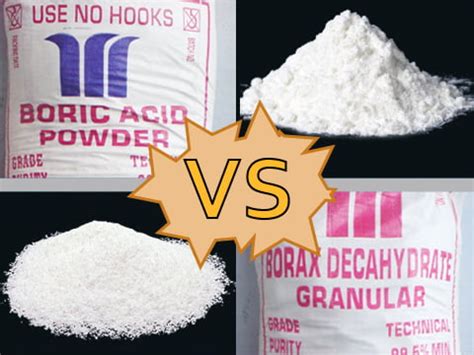 Six Reasons Why Boric Acid Is Better Than Borax Buy Boric Acid Online