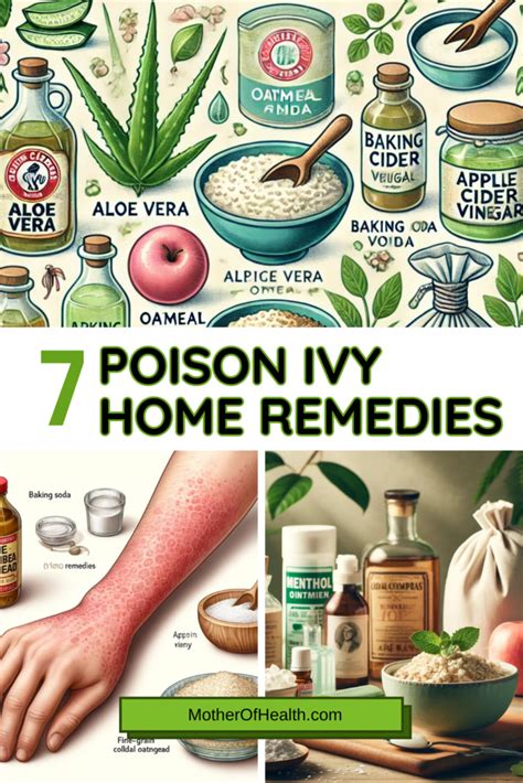 7 Poison Ivy Home Remedies For Quick Relief Mother Of Health