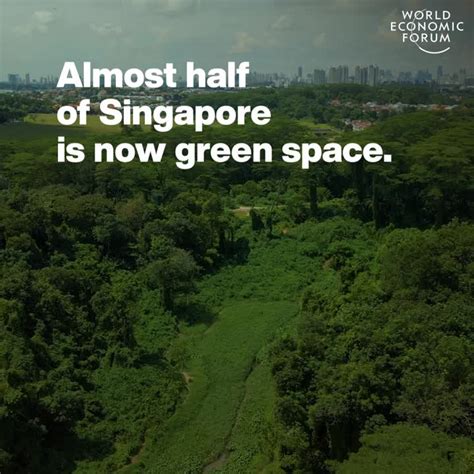 Nature Gardens Parks Treetop Urban Economies Singapore